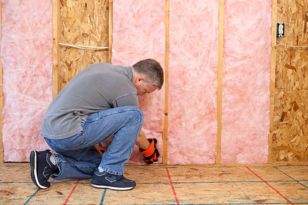 Best Eco-Friendly Insulation in West Lafayette, IN