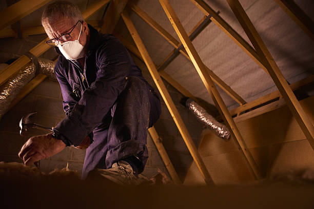 Best Insulation Maintenance and Repair in West Lafayette, IN